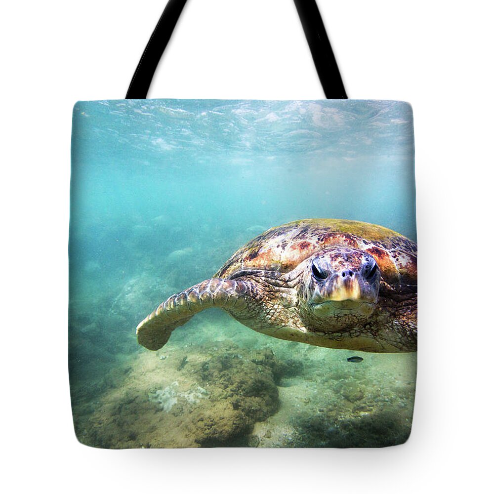 Underwater Tote Bag featuring the photograph Green Sea Turtle Chelonia Mydas by Danilovi