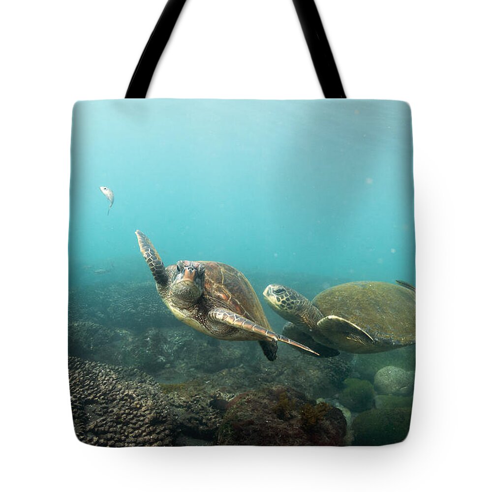 536793 Tote Bag featuring the photograph Green Sea Turtle Pair Galapagos Islands by Tui De Roy