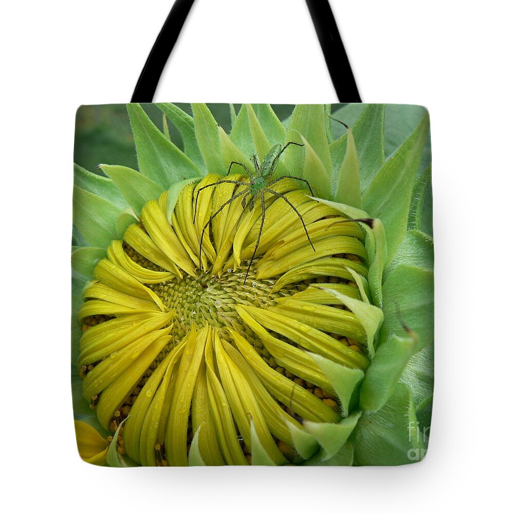 Spider Tote Bag featuring the photograph Green Spider on a Sunflower by MM Anderson