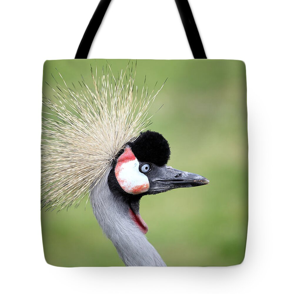 Animal Themes Tote Bag featuring the photograph Grey Crowned Crane by Marcel Ter Bekke