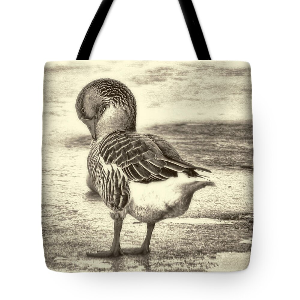 Goose Tote Bag featuring the photograph Greylag Lucy by Ola Allen