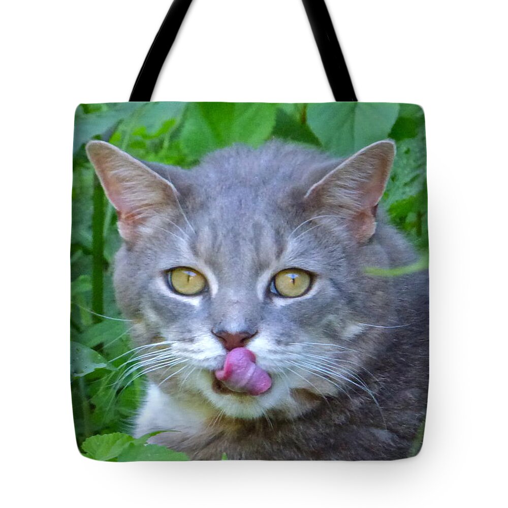 Cat Tote Bag featuring the photograph Griffin by Jean Wright