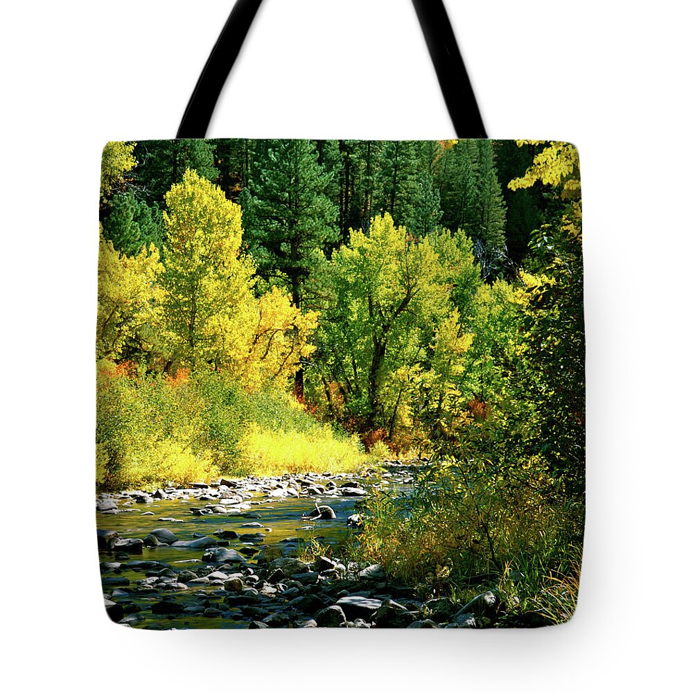 Boise National Forest Tote Bag featuring the photograph Grimes Creek Autumn Boise County Idaho by Ed Riche