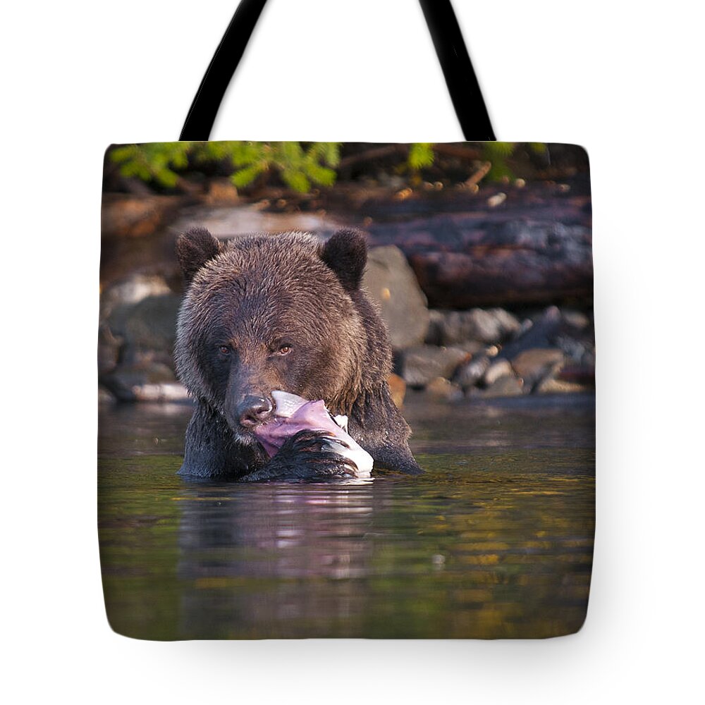 Grizzly Tote Bag featuring the photograph Grizzly and Salmon by Bill Cubitt