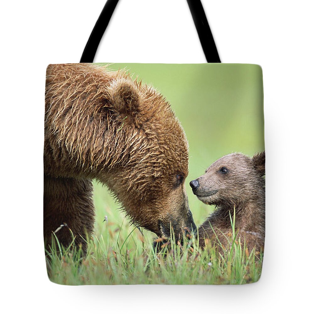 00345260 Tote Bag featuring the photograph Grizzly Bear And Cub in Katmai by Yva Momatiuk John Eastcott