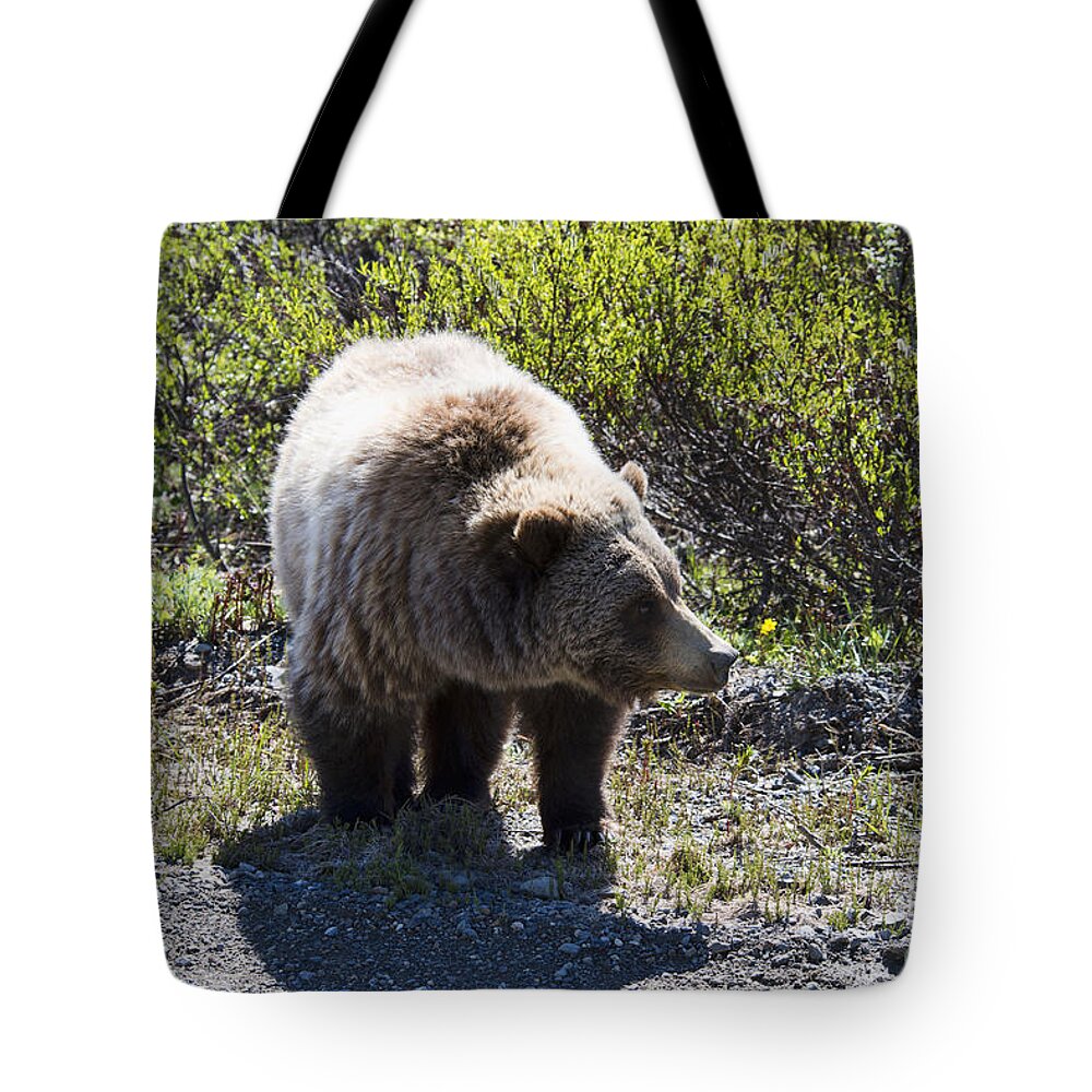 Grizzly Tote Bag featuring the photograph Grizzly Bear by David Arment