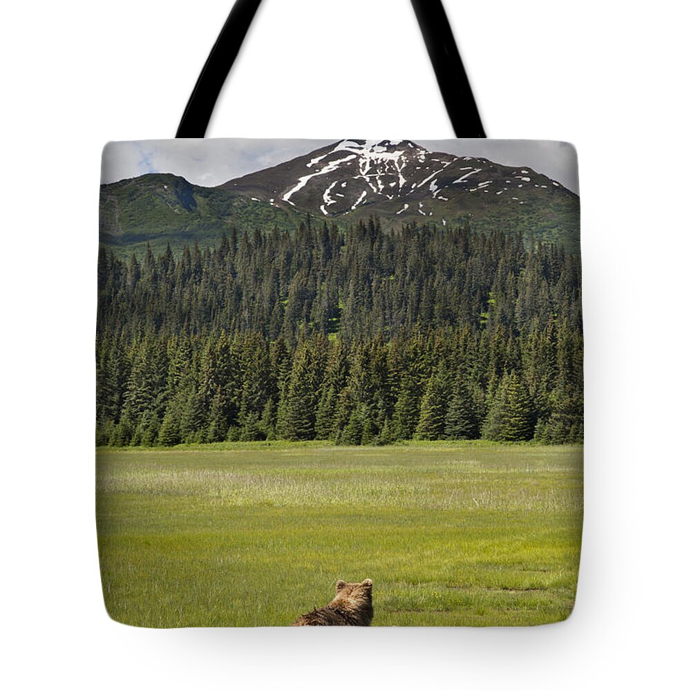 Richard Garvey-williams Tote Bag featuring the photograph Grizzly Bear Mother And Cubs In Meadow by Richard Garvey-Williams