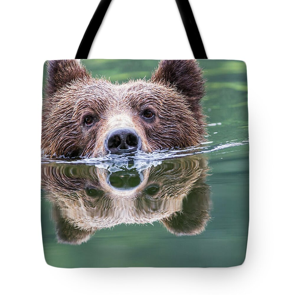 Grizzly Bear Tote Bag featuring the photograph Grizzly Bear Ursus Arctos Horribilis by Robert Postma / Design Pics