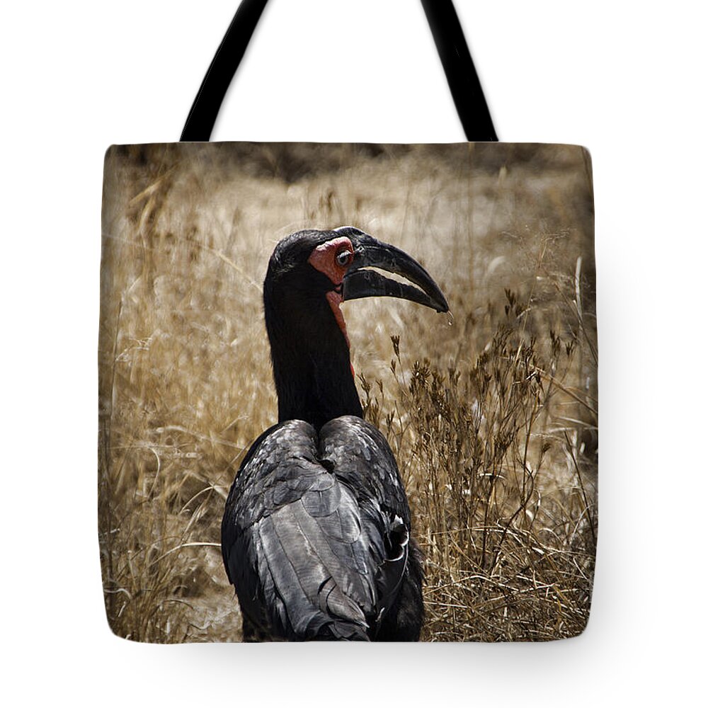 Ground Hornbill Tote Bag featuring the photograph Ground Hornbill-Africa by Douglas Barnard