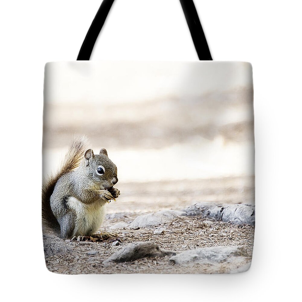 Photography Tote Bag featuring the photograph Ground Squirrel by Ivy Ho