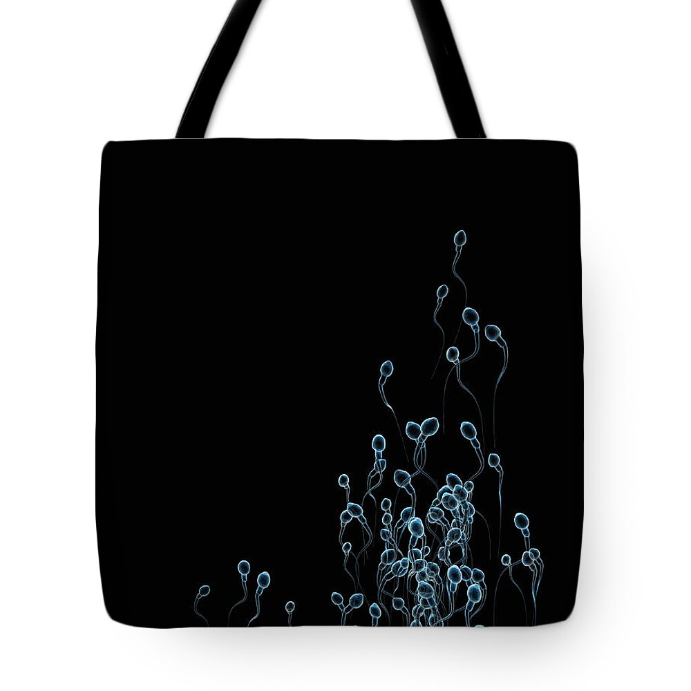 Research Tote Bag featuring the photograph Group Of Sperm Swimming Toward Goal by Burazin
