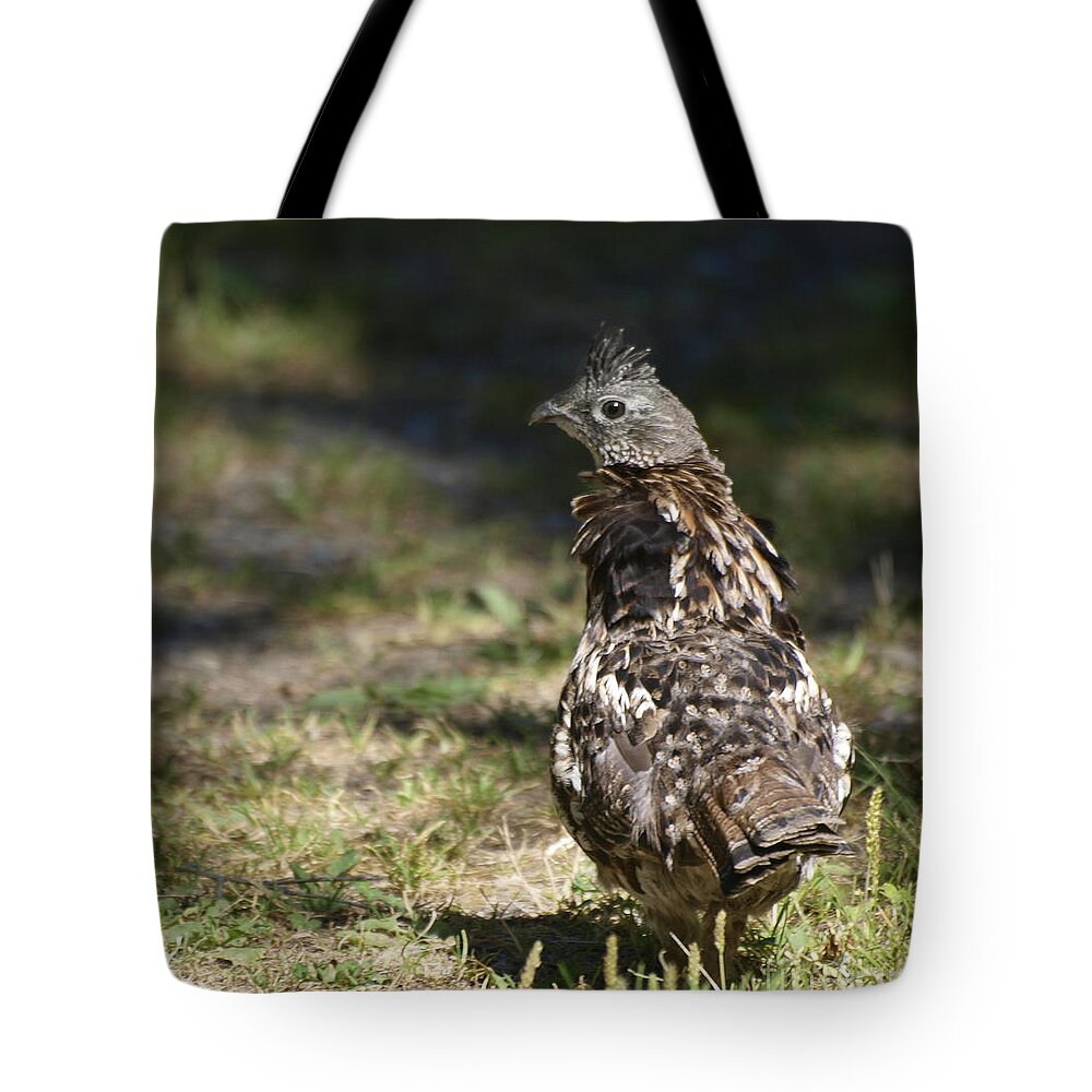 Grouse Tote Bag featuring the photograph Grouse Hunter by Vivian Martin
