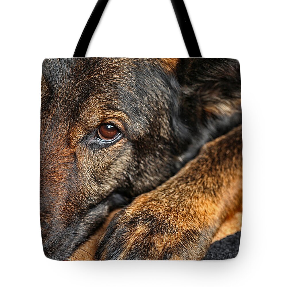 German Shepherd Tote Bag featuring the photograph Guard Dog At Rest by Karol Livote