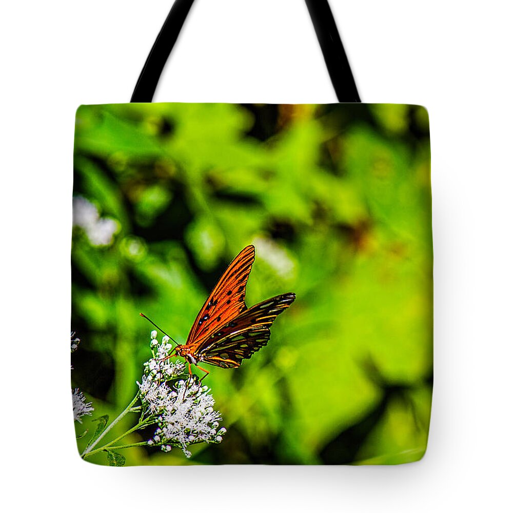 Gulf Fritillary Butterfly Tote Bag featuring the photograph Nature - Macro - Gulf Fritillary Butterfly by Barry Jones