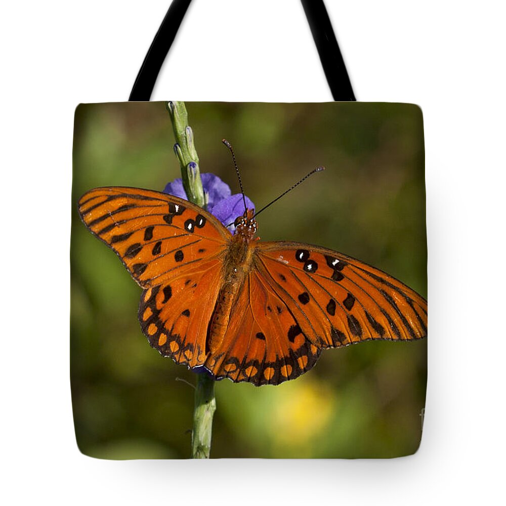 Butterfly Tote Bag featuring the photograph Gulf Fritillary Butterfly by Meg Rousher