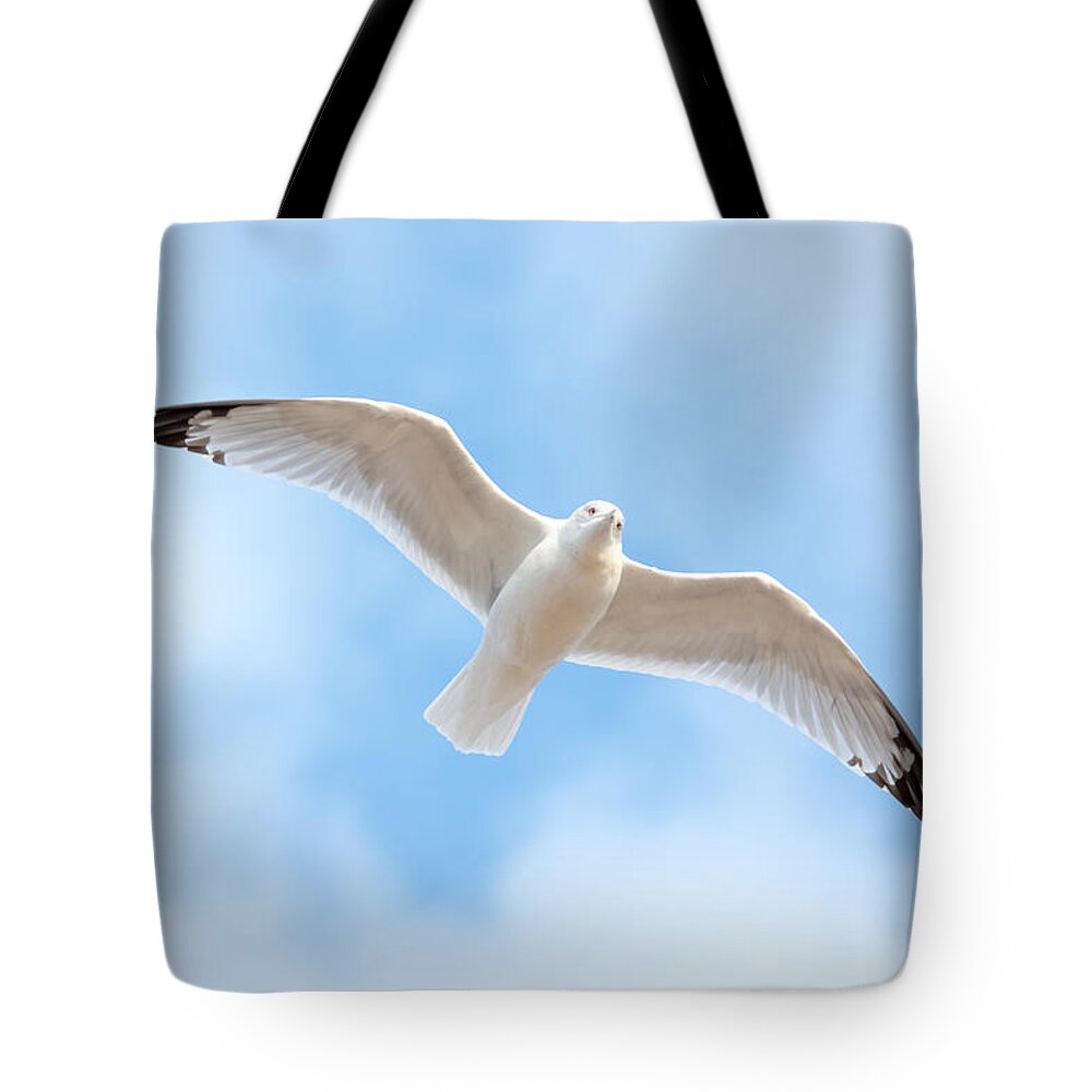 Gull Tote Bag featuring the photograph Gull in the Clouds by Holden The Moment