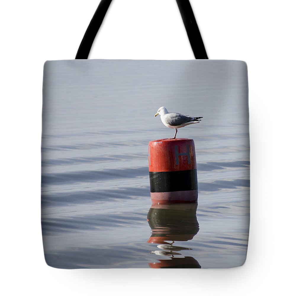 Sand Tote Bag featuring the photograph Gull by Spikey Mouse Photography