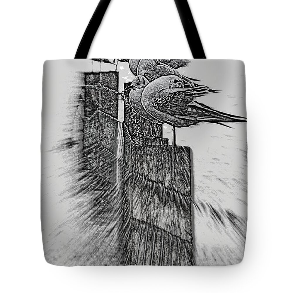 Gulls Tote Bag featuring the photograph Gulls in Pencil effect by Linsey Williams
