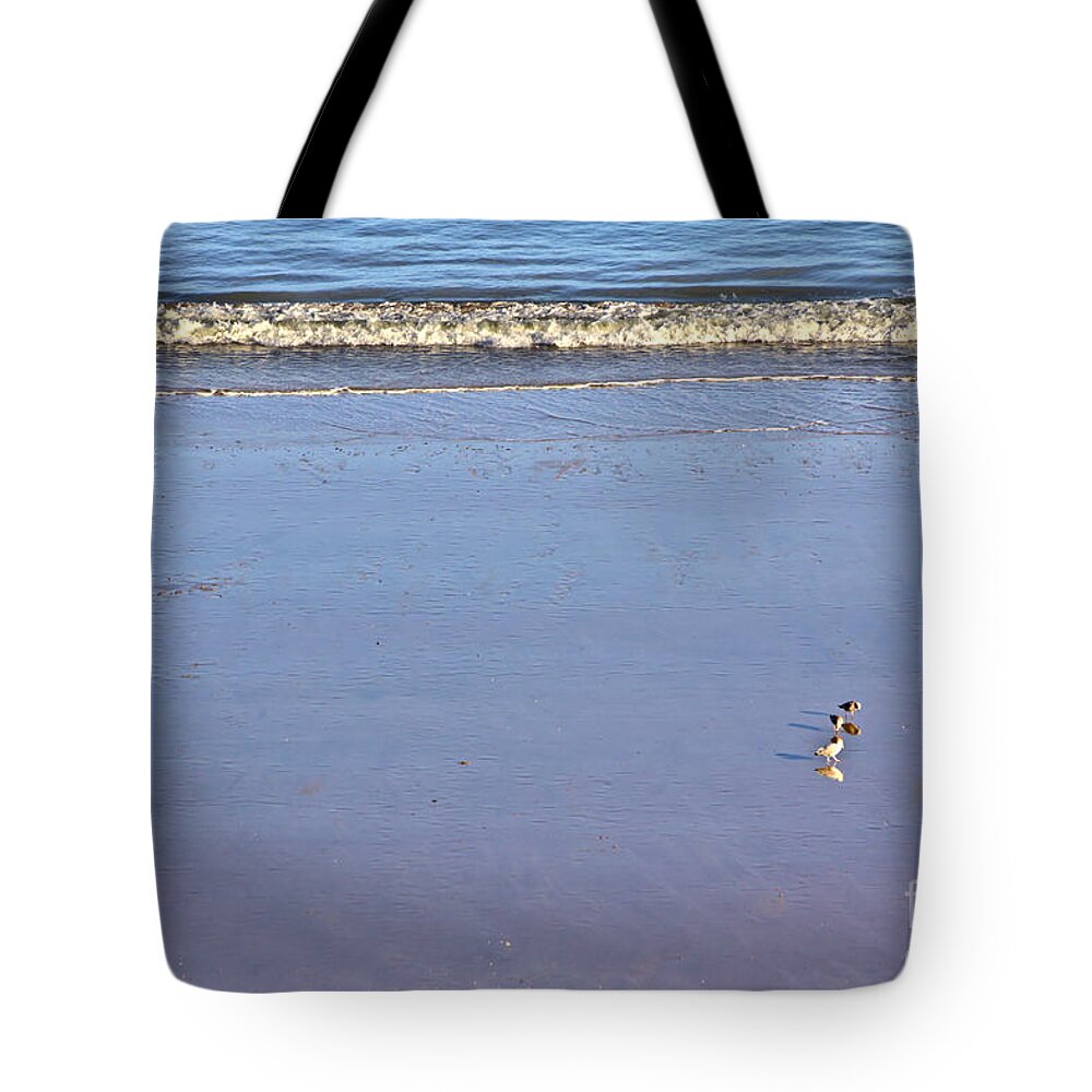Gulls Tote Bag featuring the photograph Gulls on the Beach by Jeremy Hayden