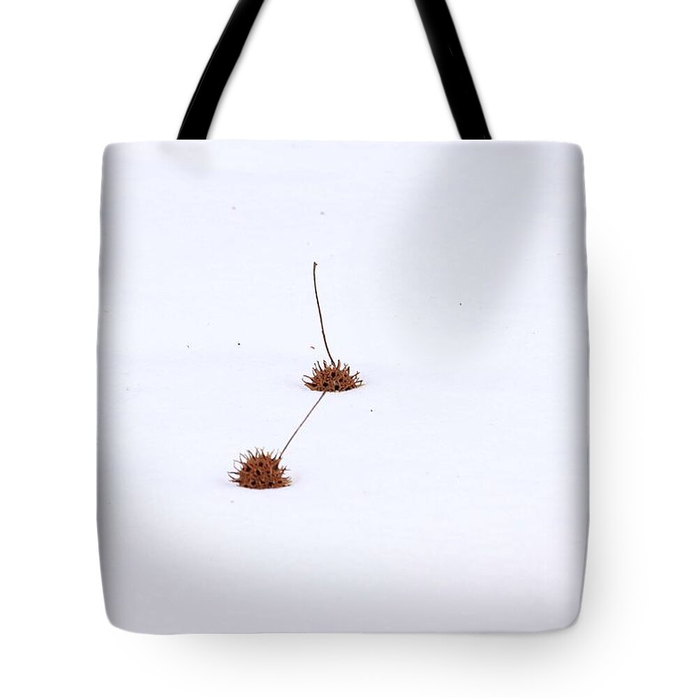 Gumballs In Snow Tote Bag featuring the photograph Gumballs in Snow by PJQandFriends Photography