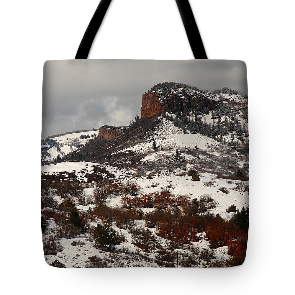 Gunnison National Park Tote Bag featuring the photograph Gunnison National Park by Raymond Salani III
