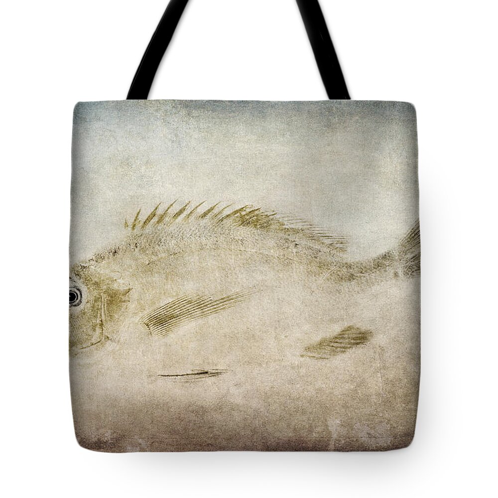 Gyotaku Tote Bag featuring the photograph Gyotaku Fish Rubbing Japanese by Carol Leigh