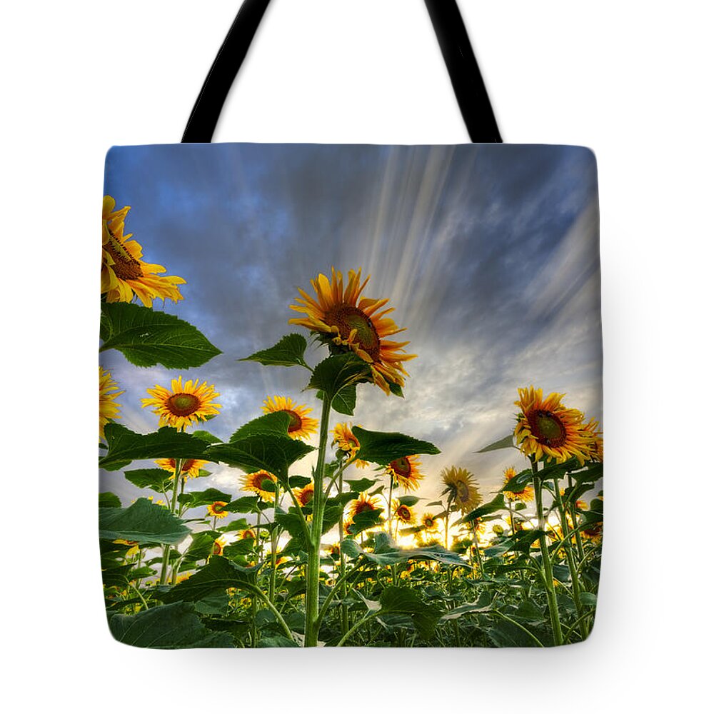 Appalachia Tote Bag featuring the photograph Halleluia by Debra and Dave Vanderlaan