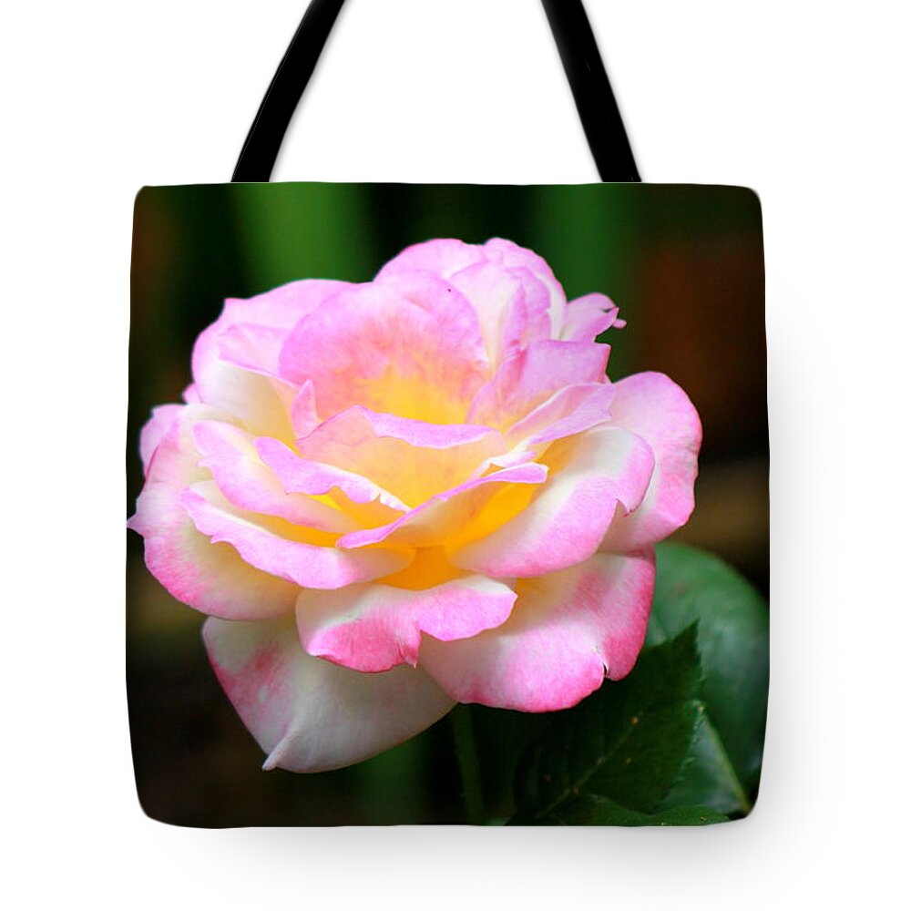 Rose Tote Bag featuring the photograph Hand Picked for You by Deborah Crew-Johnson
