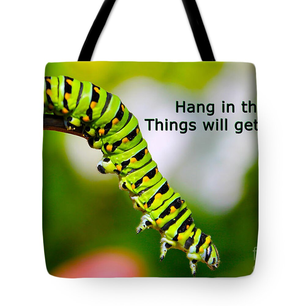 Greeting Cards Tote Bag featuring the photograph Hang in There by Nina Silver