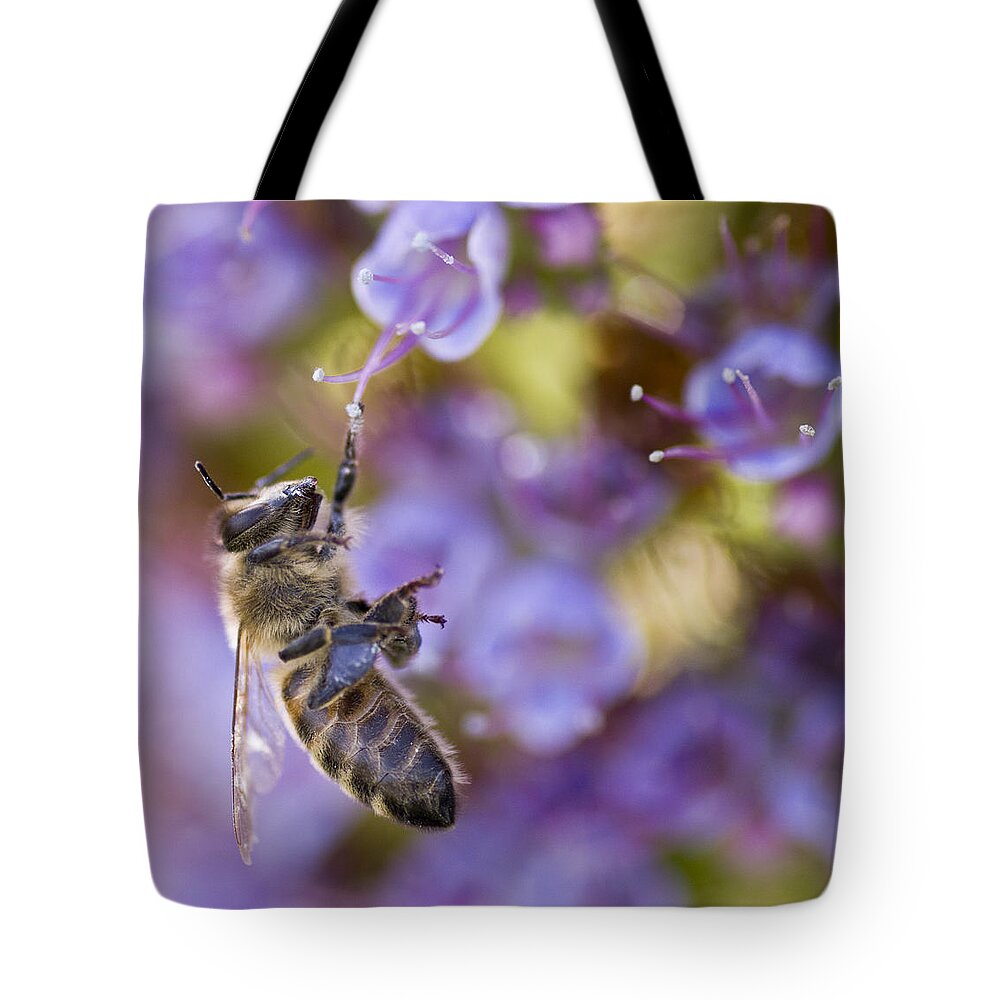 Bee Tote Bag featuring the photograph Hang On by Priya Ghose