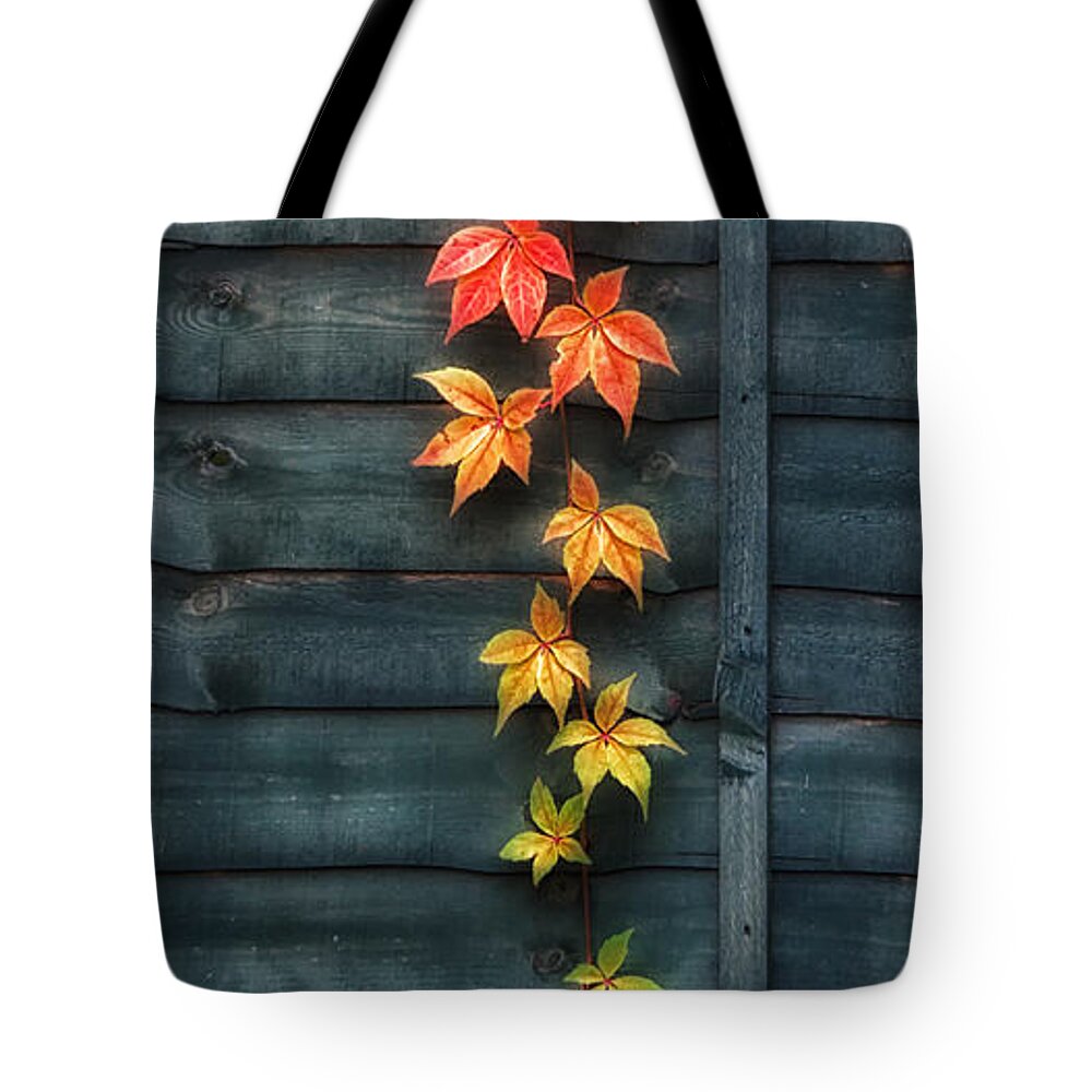 Shirley Mitchell Tote Bag featuring the photograph Hanging colours by Shirley Mitchell