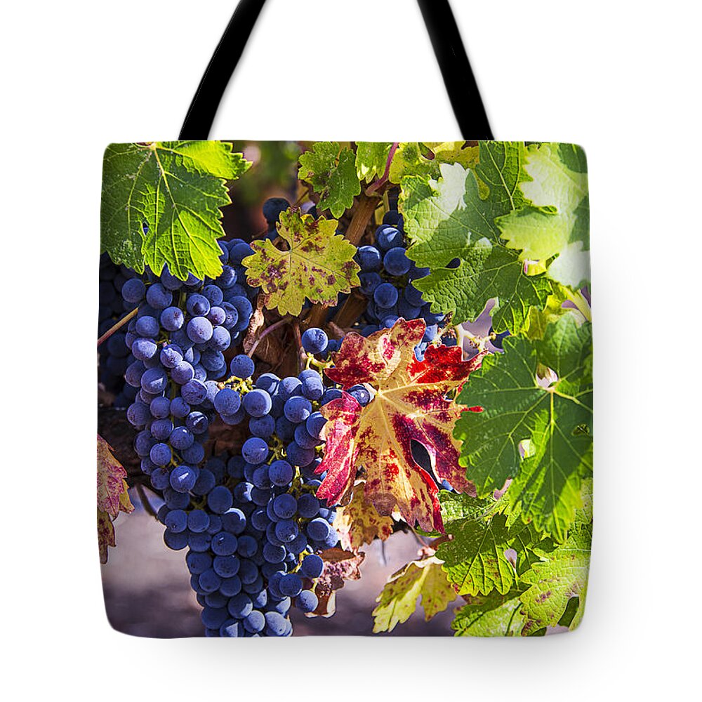Grapes Tote Bag featuring the photograph Hanging Grapes by Garry Gay