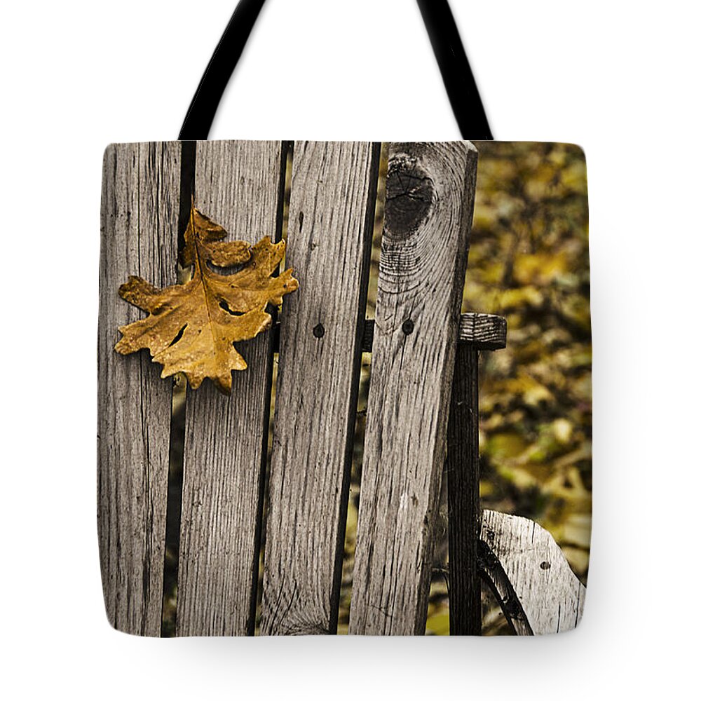 Autumn Tote Bag featuring the photograph Hanging On by Sandra Parlow