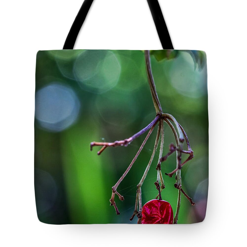 Reno Garden Tote Bag featuring the digital art Hanin On In Reno by Georgianne Giese