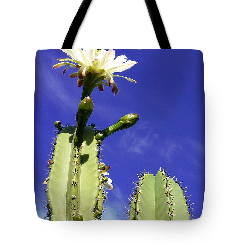Birthday Tote Bag featuring the photograph Happy Birthday Card And Print 17 by Mariusz Kula