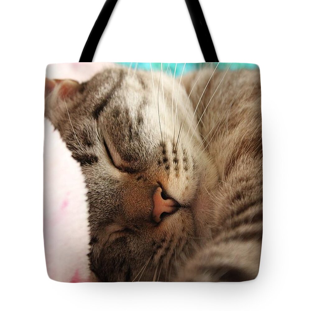 Cat Tote Bag featuring the photograph Happy Dreams by Amy Gallagher