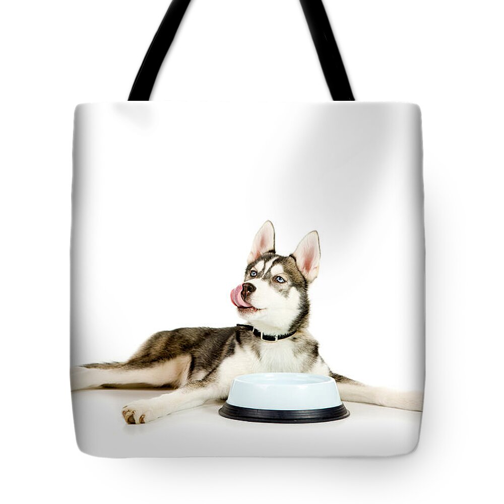 Animal Tote Bag featuring the photograph Happy puppy by Alexey Stiop