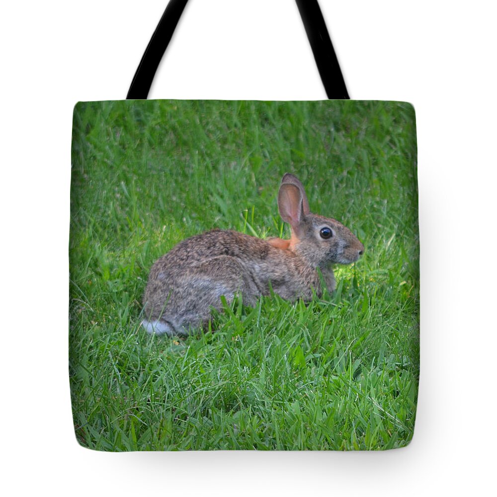 Wild Tote Bag featuring the photograph Happy Rabbit by Richard Bryce and Family