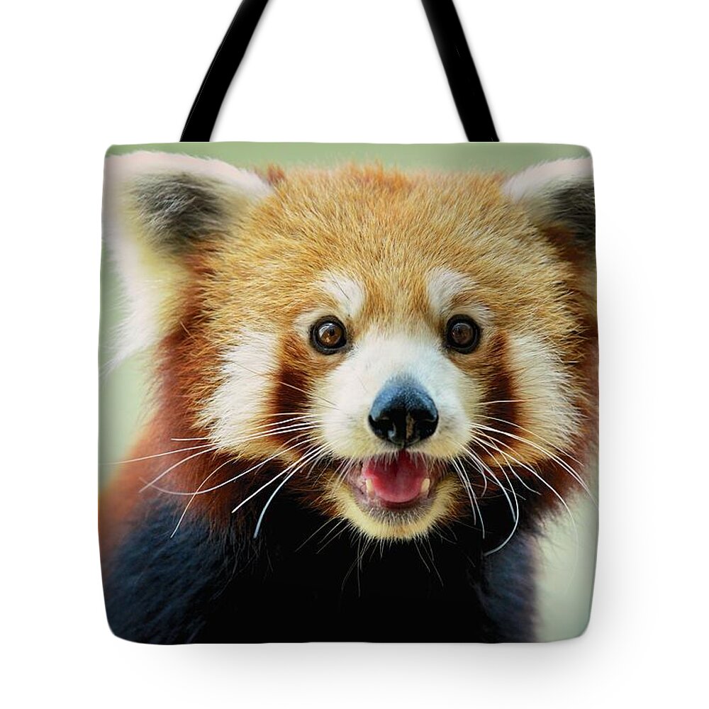 Panda Tote Bag featuring the photograph Happy Red Panda by Aaronchengtp Photography