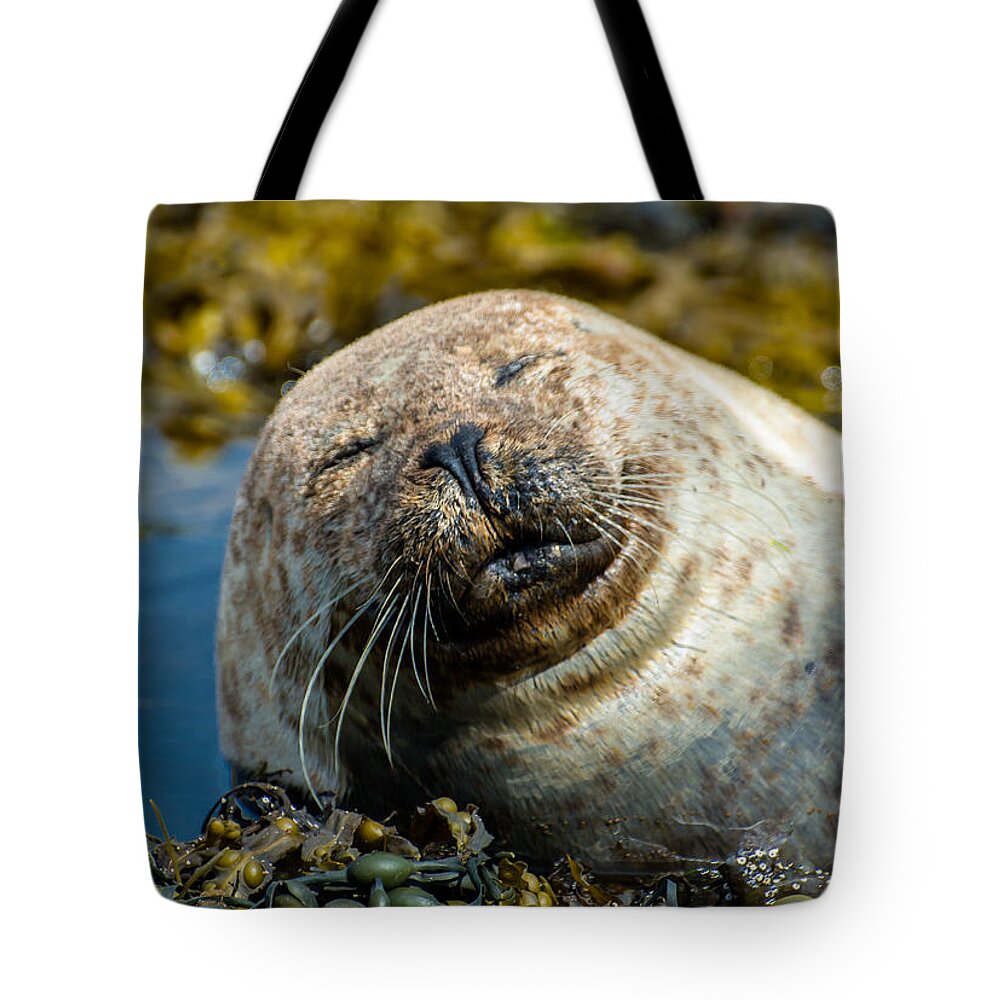 Seal Tote Bag featuring the photograph Happy Seal Relaxing In The Seaweed by Andreas Berthold
