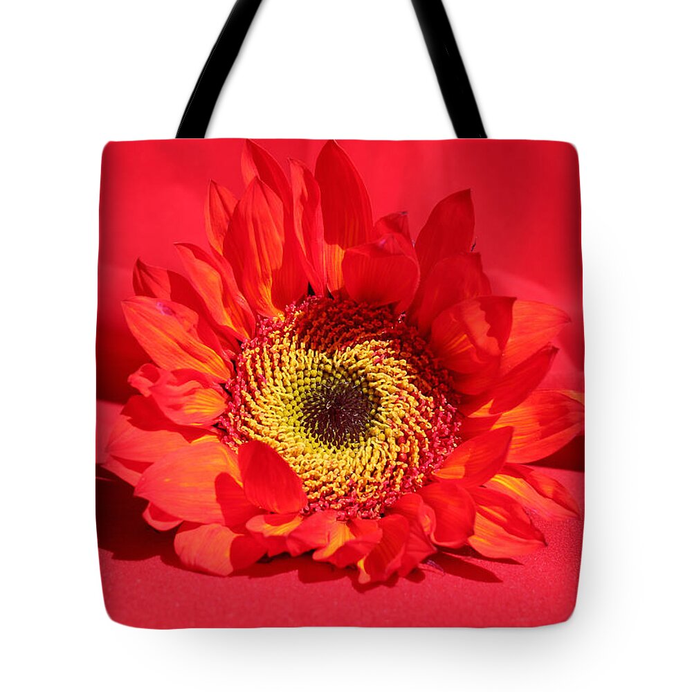 Happy Sunflower Tote Bag featuring the photograph Happy Sunflower by Kume Bryant
