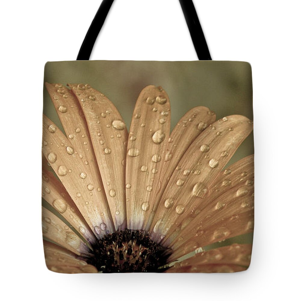 Flower Tote Bag featuring the photograph Happy To Be A Raindrop by Trish Tritz