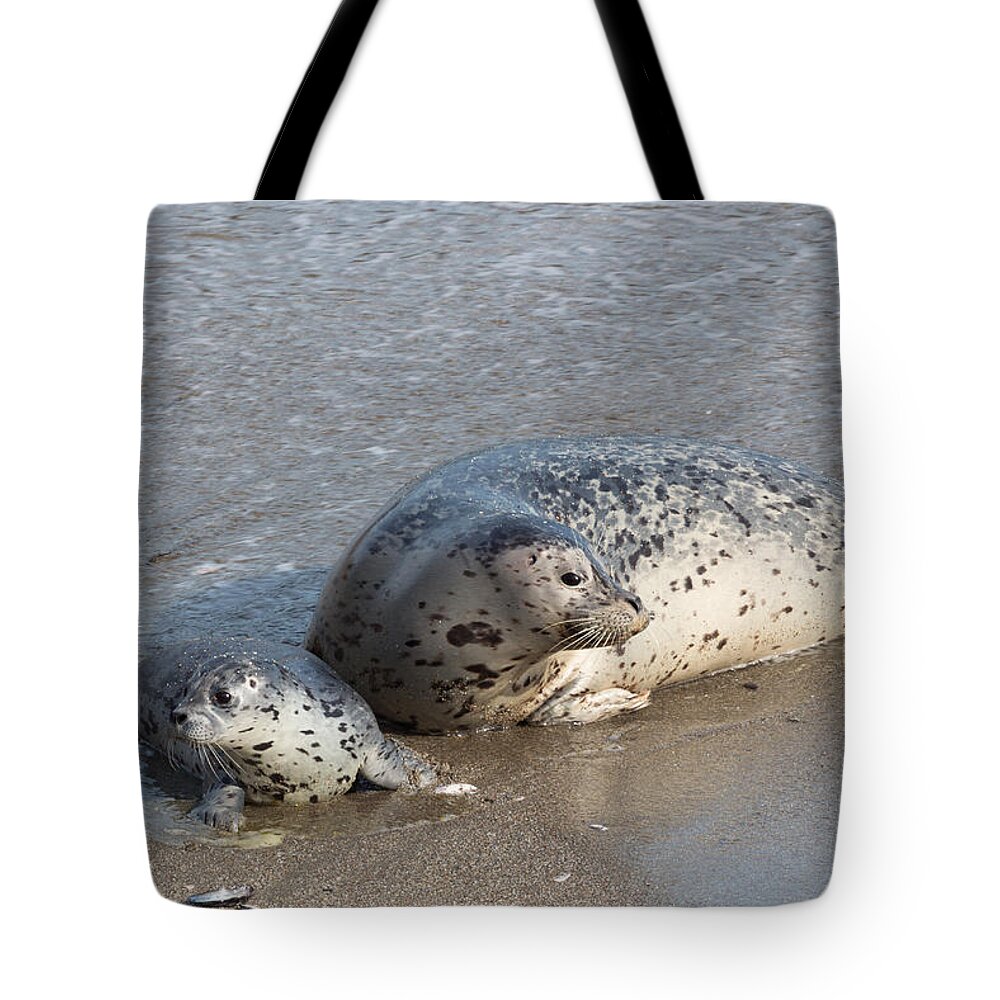 Harbor Seals Tote Bag featuring the photograph Harbor Seals in the Surf by Kathleen Bishop