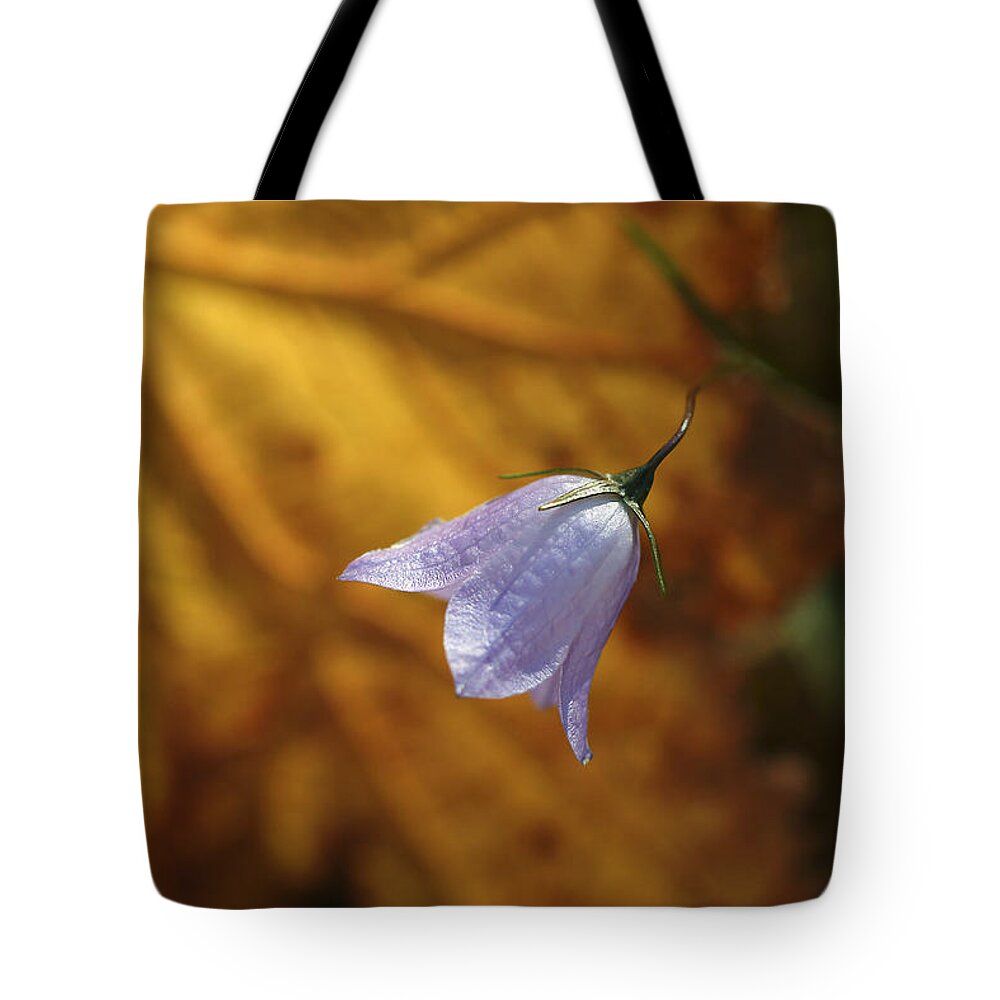 Indigo Tote Bag featuring the photograph Hare Bell and Gold Leaf by Roger Snyder