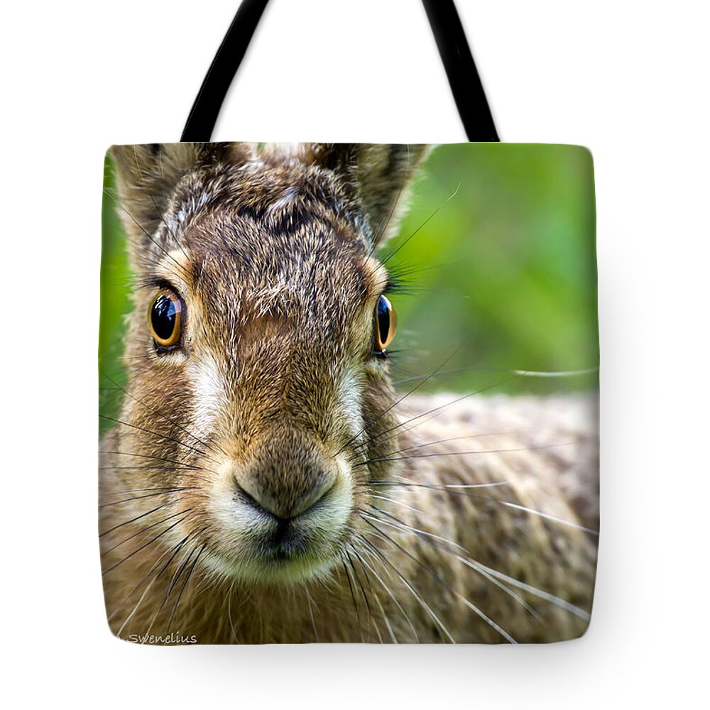Hare Portrait Tote Bag featuring the photograph Hare Portrait by Torbjorn Swenelius