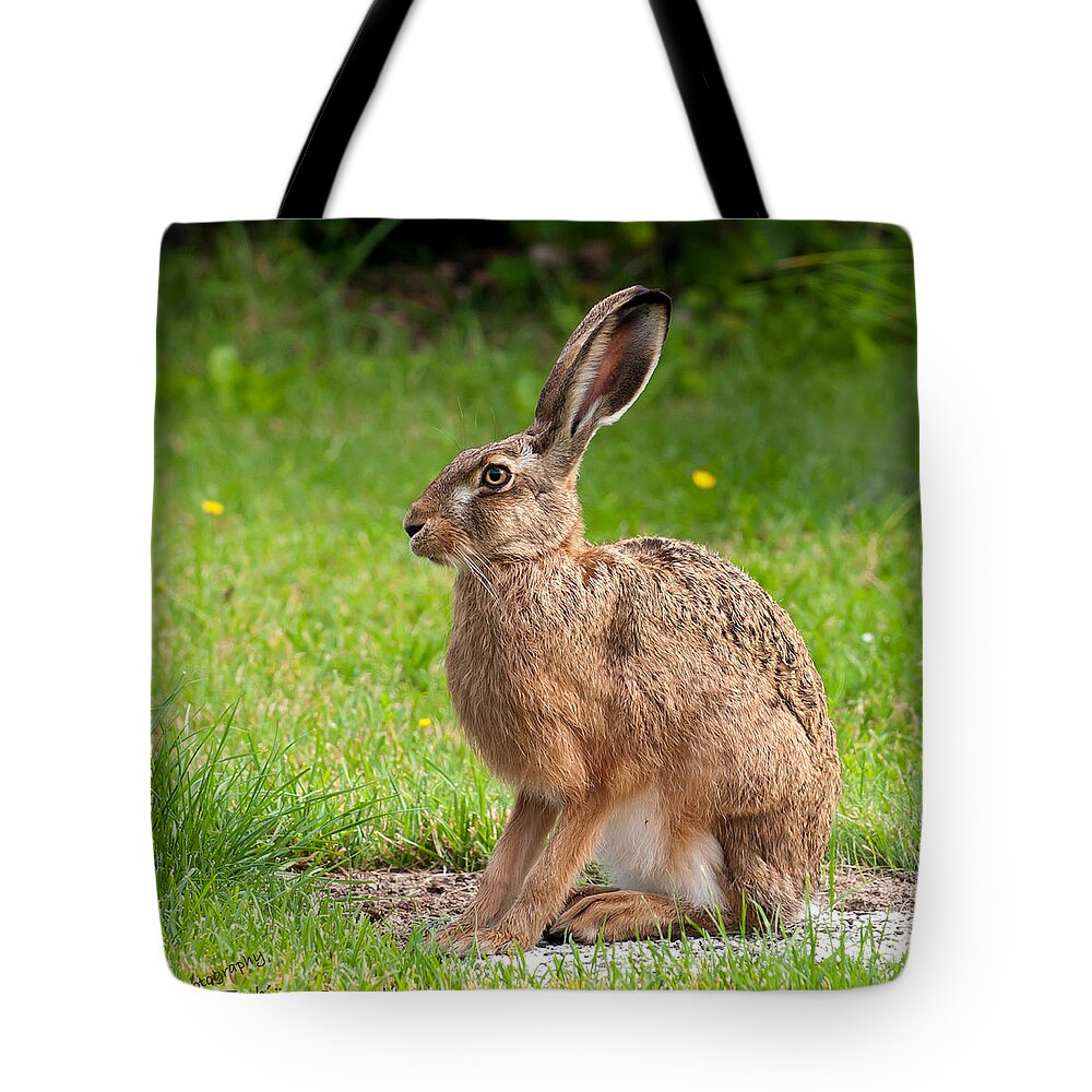 Hare Profile Tote Bag featuring the photograph Hare Profile by Torbjorn Swenelius