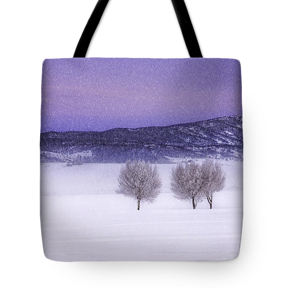 Snow Tote Bag featuring the photograph Harmonious Vibrations by Kristal Kraft