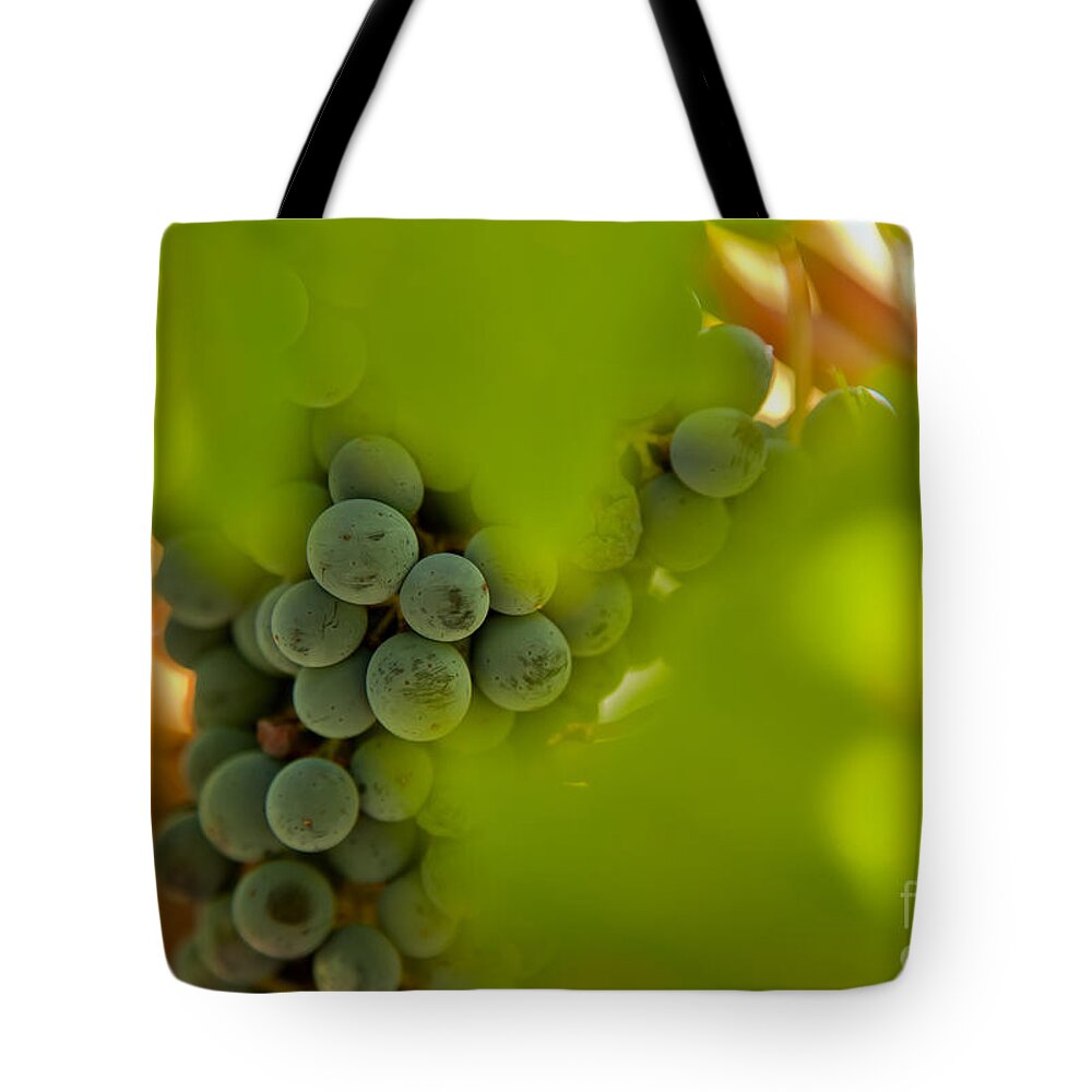 Abstract Tote Bag featuring the photograph Harvest Season 2 by Jonathan Nguyen