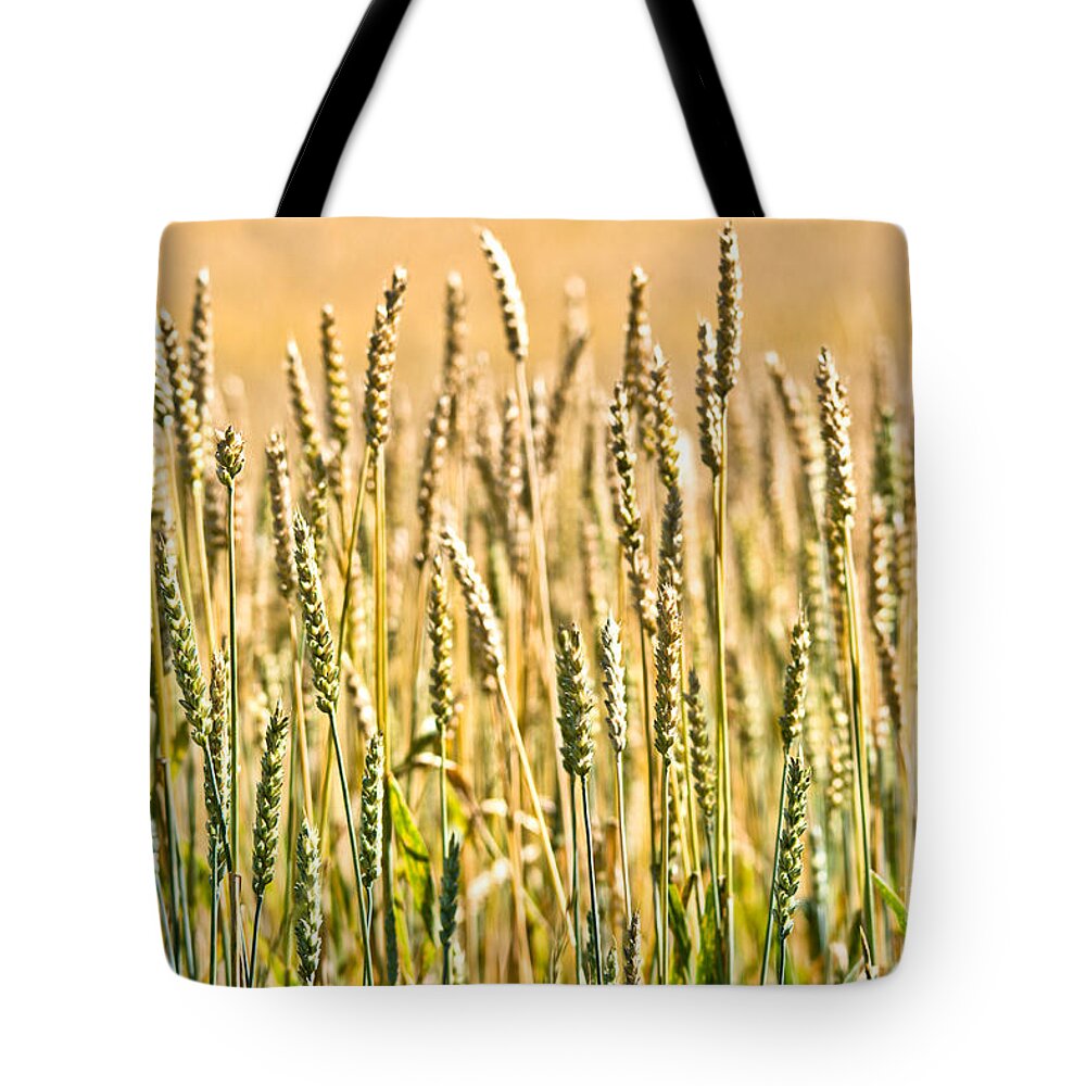 Wheat Tote Bag featuring the photograph Harvest Time by Cheryl Baxter