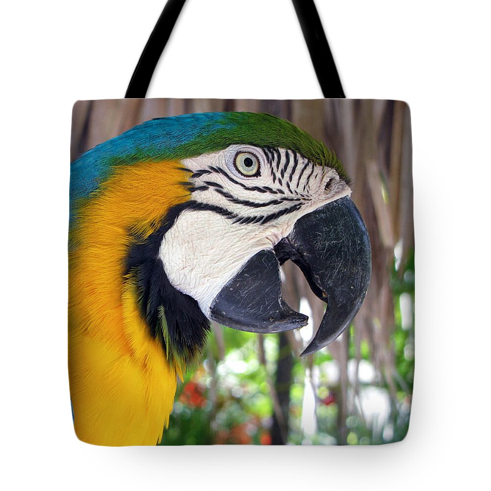 Parrot Tote Bag featuring the photograph Harvey the Parrot 2 by Bob Slitzan
